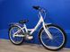 Велосипед Drag 20 Prima Бело/Фиолетовый 2020 RU